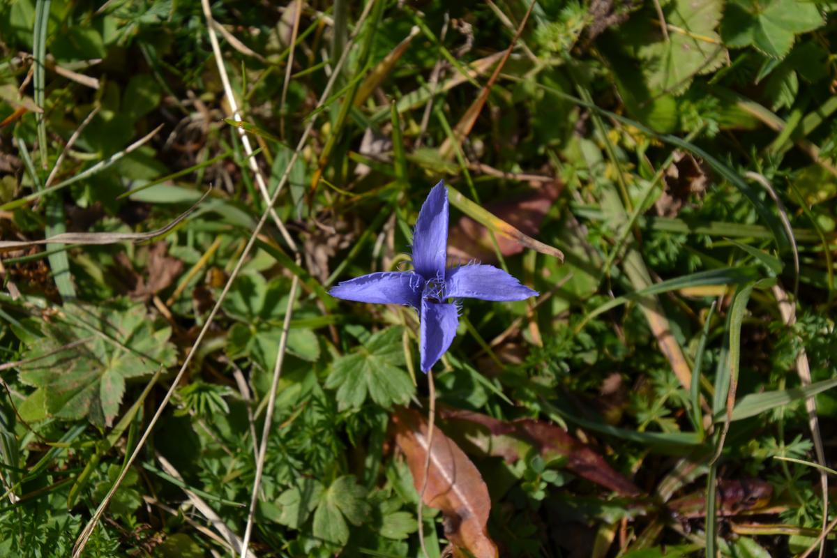 Geisleralm 05.09.2018